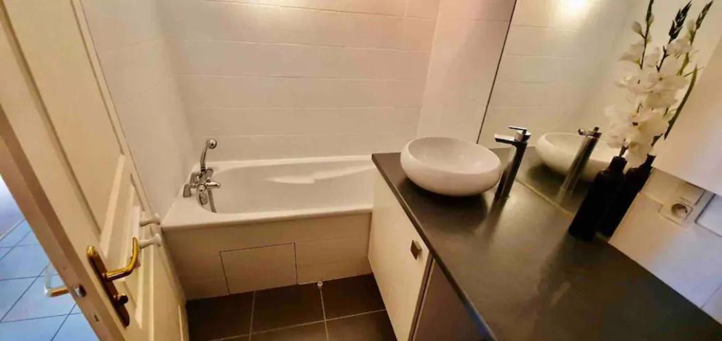 Tichnich Appartement - 2 Bedrooms - 1 Min Away From Train Station Annemasse Exterior photo