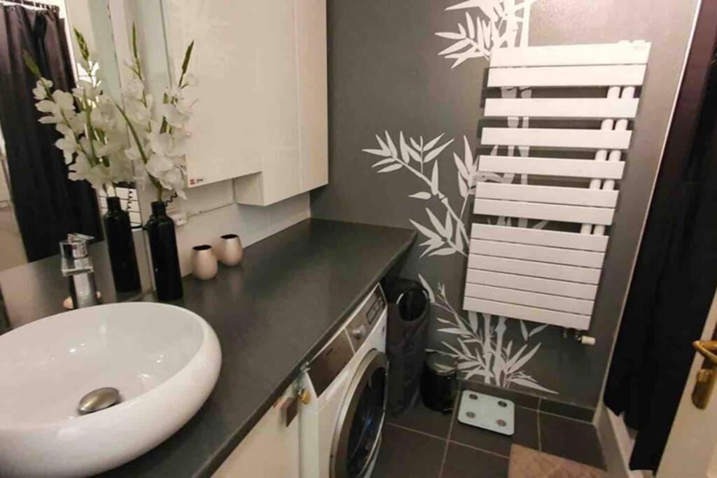 Tichnich Appartement - 2 Bedrooms - 1 Min Away From Train Station Annemasse Exterior photo